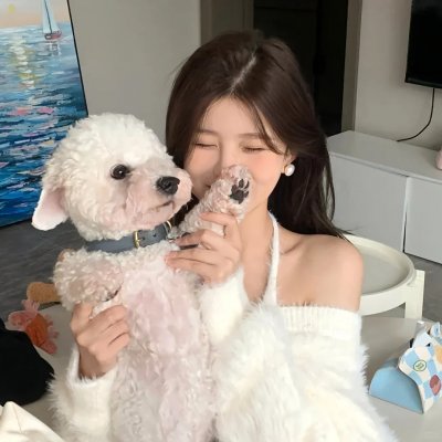 马达加斯加的企鹅